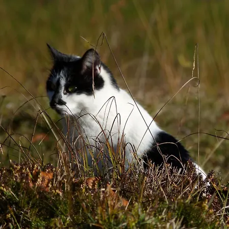 Oederbauer-hof Schneizlreuth