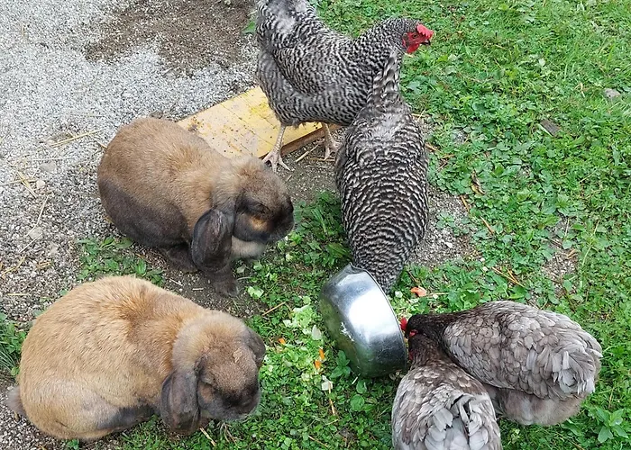 Oederbauer-hof * Schneizlreuth